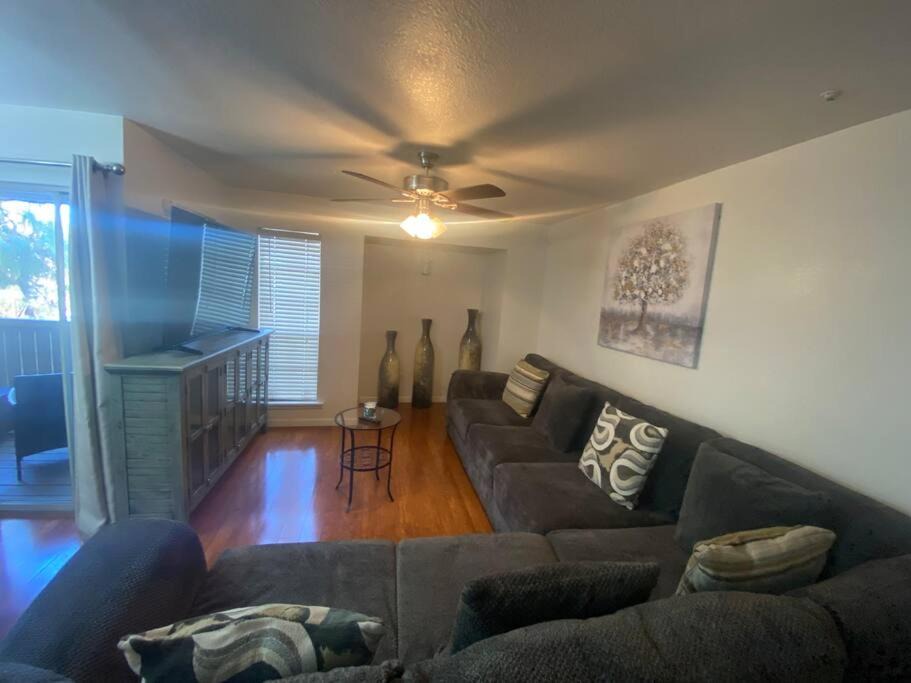 Photo of Livingroom in Tempe
