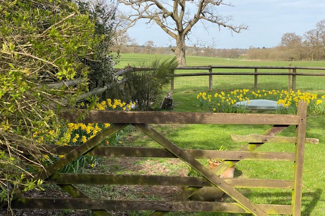 Photo of Others in Alvechurch