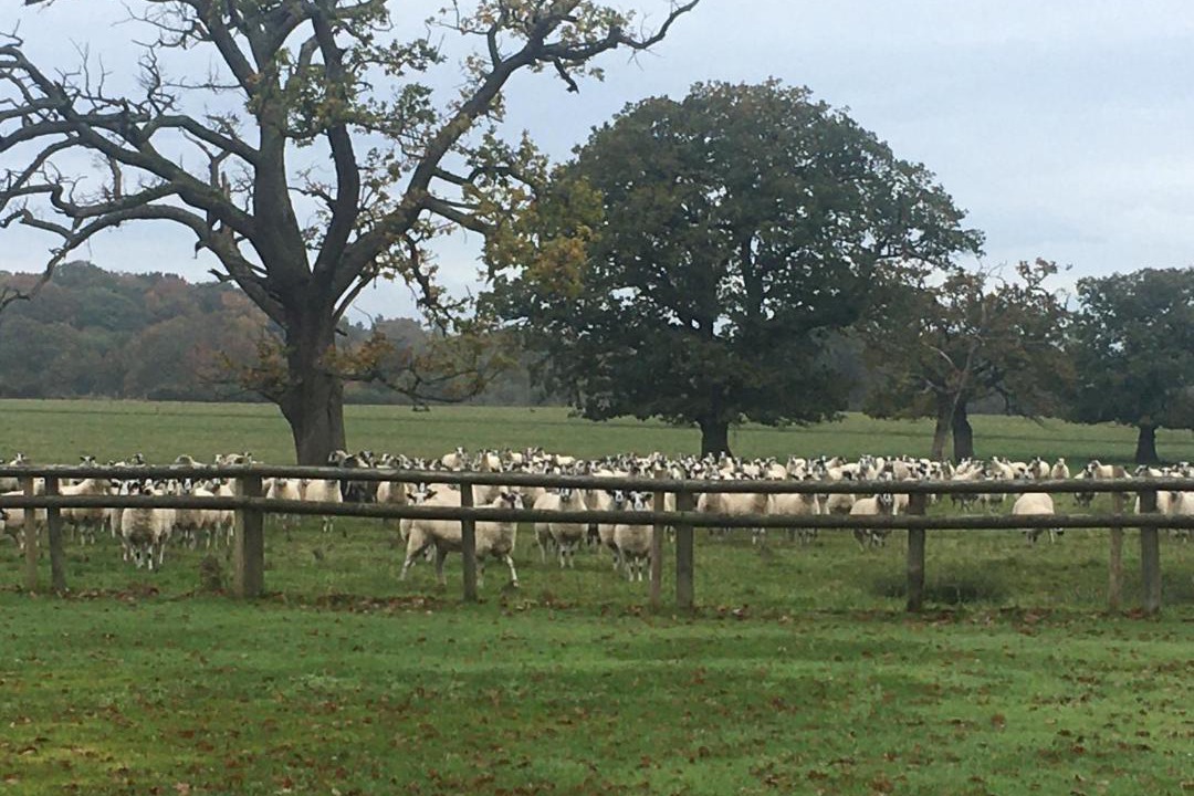 Photo of Others in Alvechurch