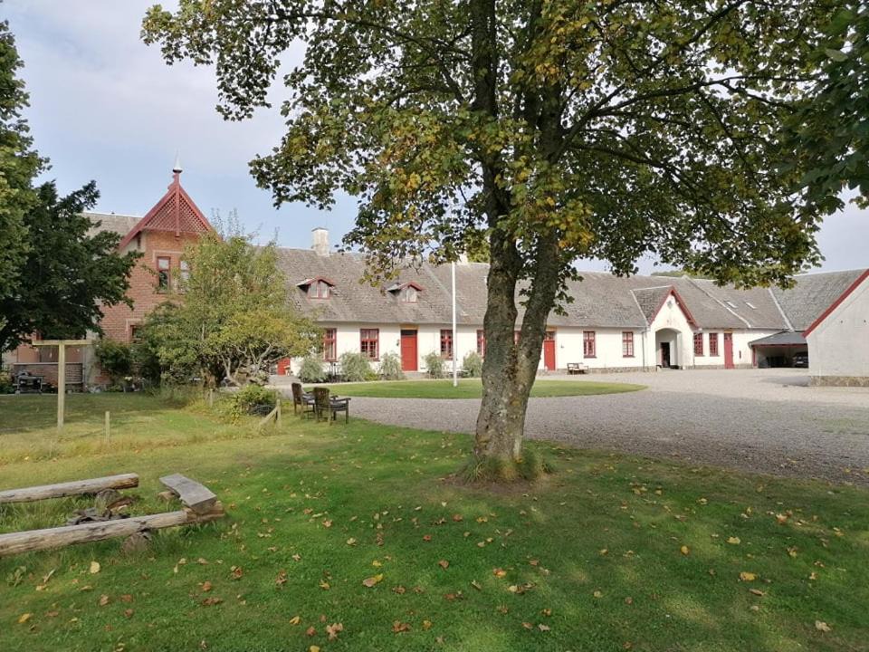 Photo of Others in Haslev