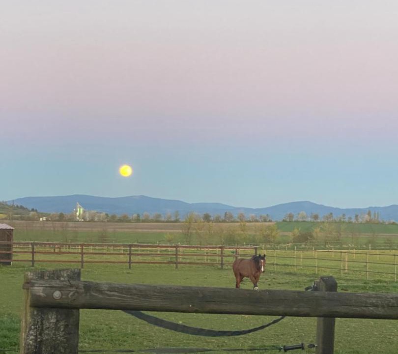 Photo of Others in Villeneuve-les-Cerfs