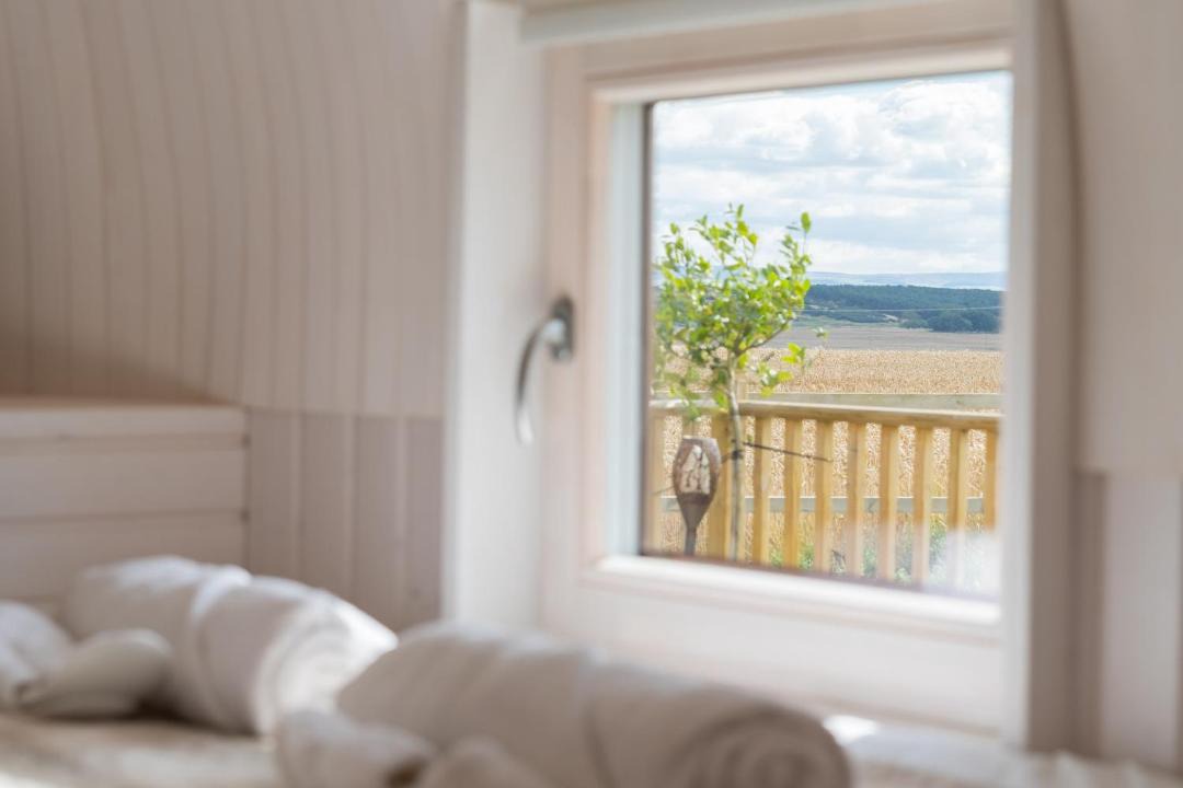 Photo of Others in North Berwick