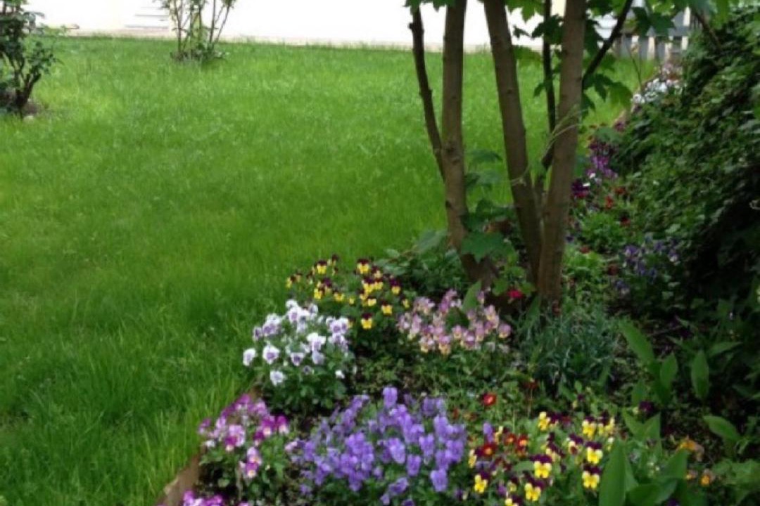 Photo of Others in Saint-Satur