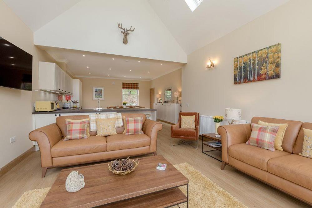 Photo of Others in Maybole