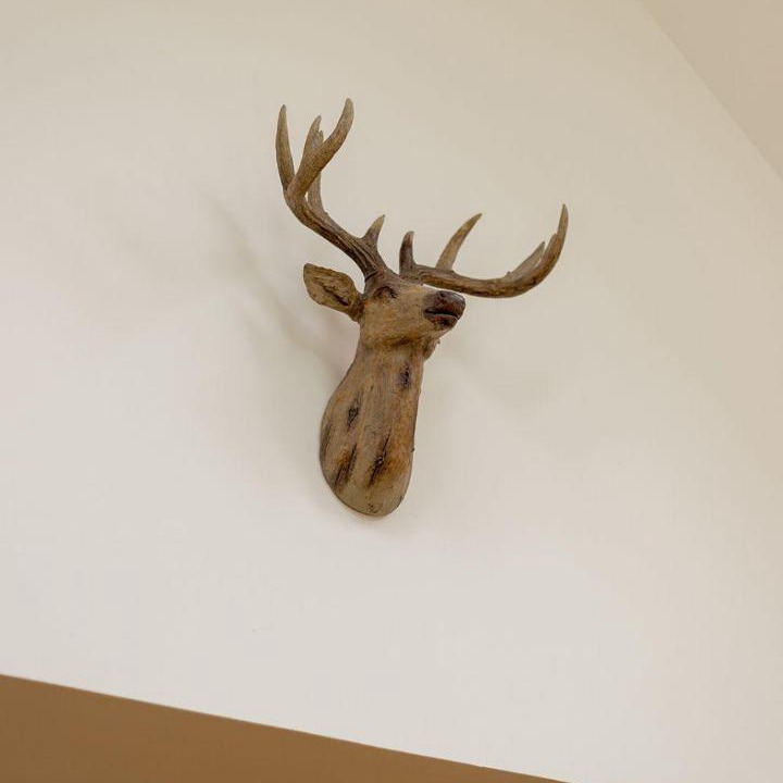 Photo of Others in Maybole