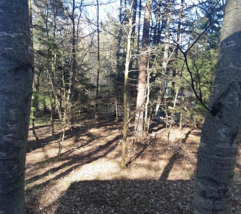 Photo of Others in Udsholt