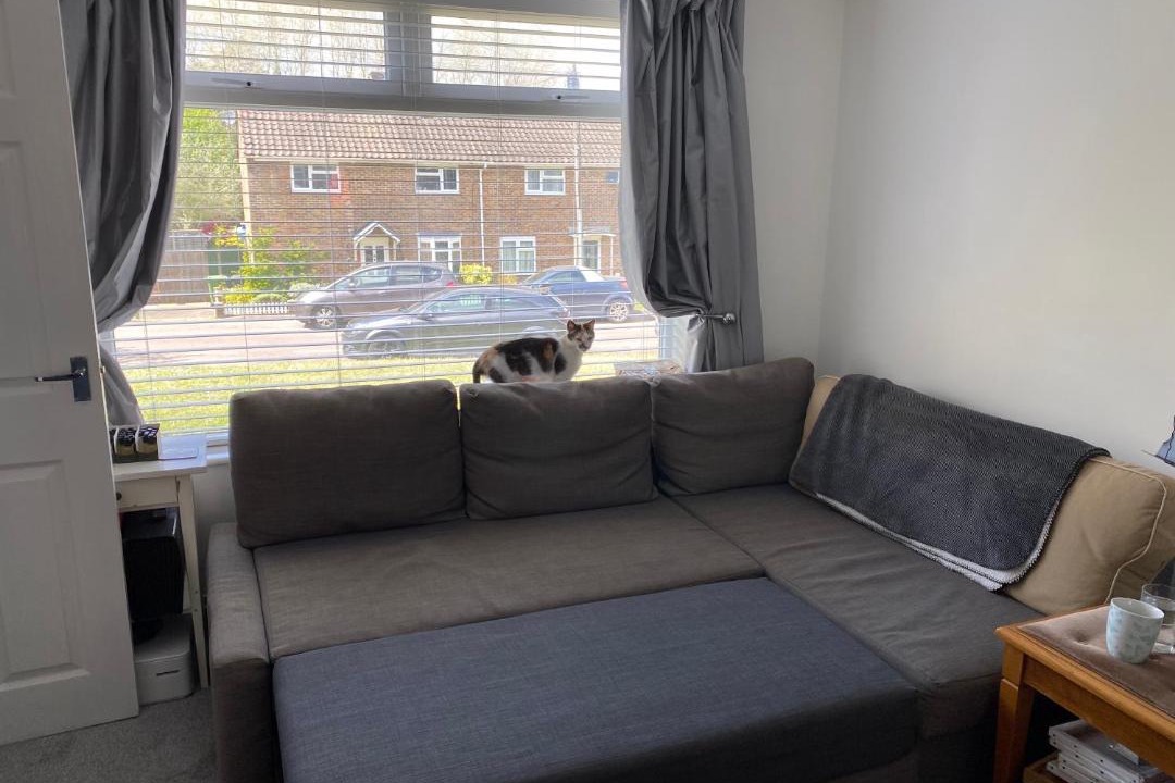 Photo of Livingroom in Bordon