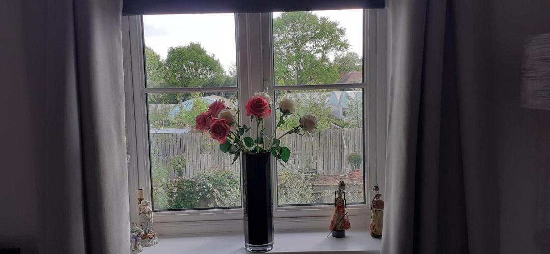 Photo of Others in Birdham