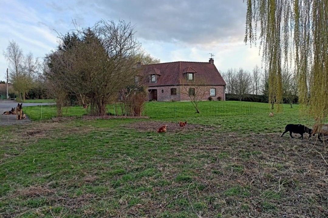 Photo of Others in Verlinghem