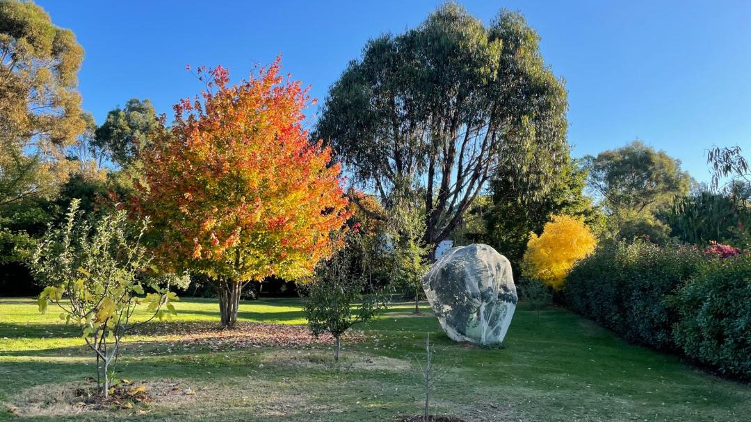 Photo of Others in Beechworth