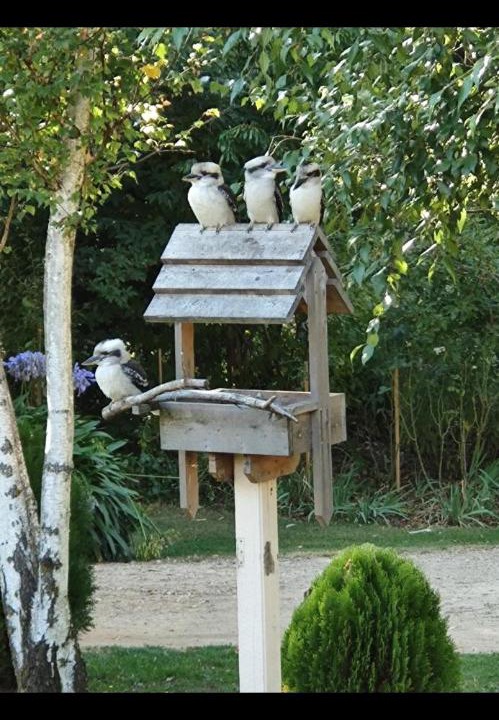 Photo of Others in Beechworth