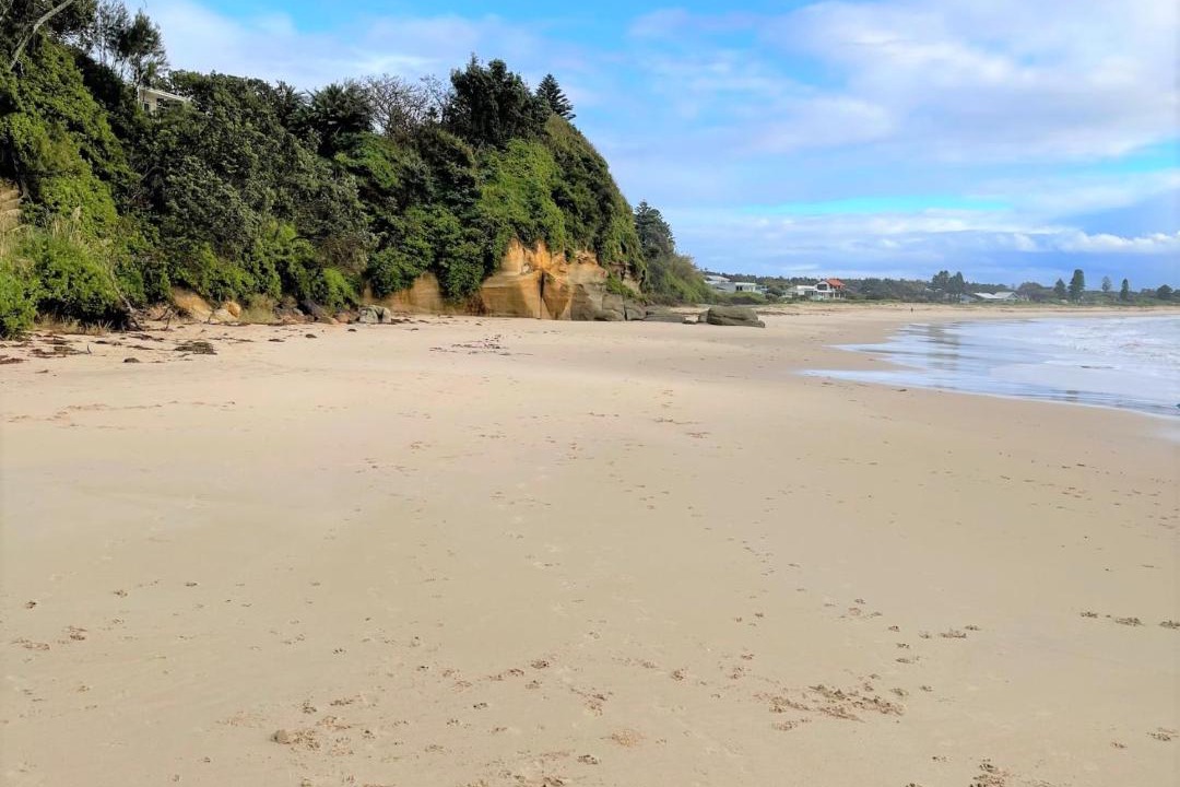 Photo of Outdoor in Noraville