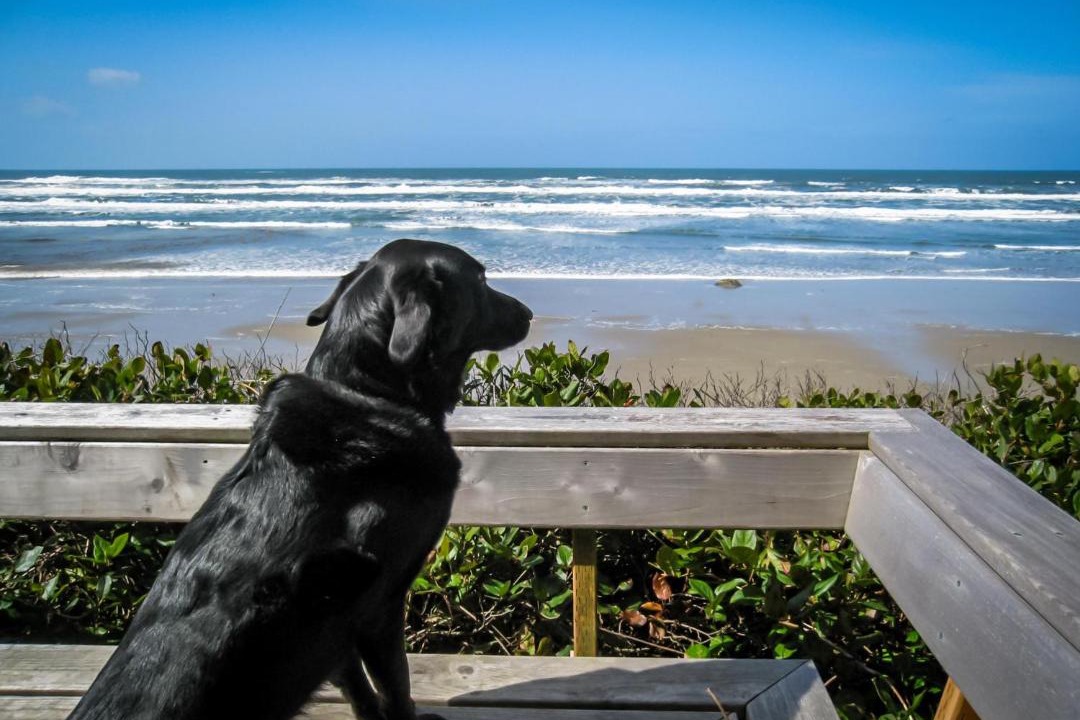 Photo of Others in South Beach