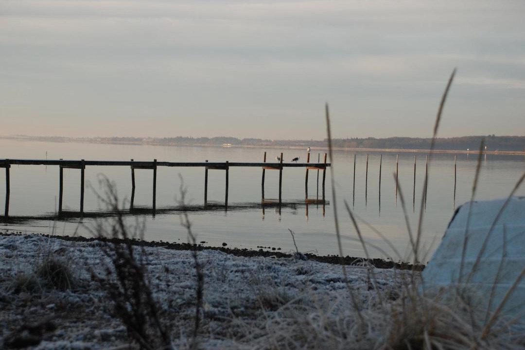 Photo of Others in Sallingsund