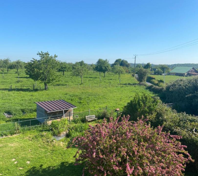 Photo of Others in Fatouville-Grestain