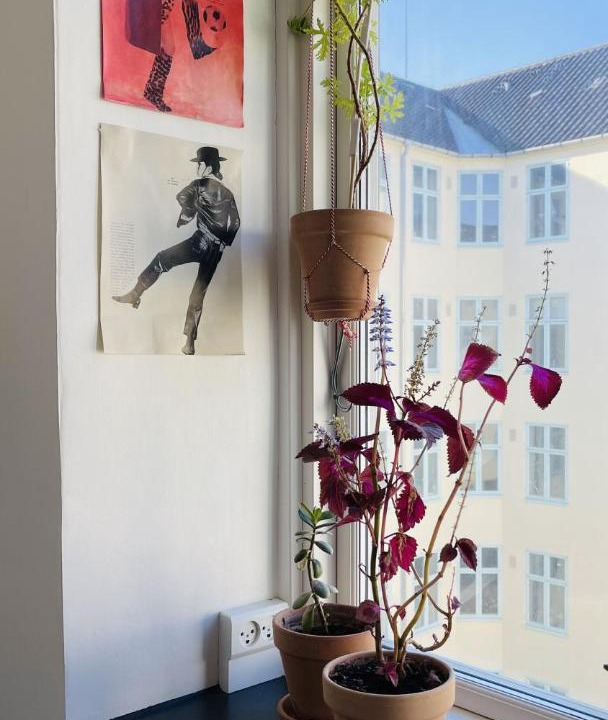 Photo of Others in Christianshavn