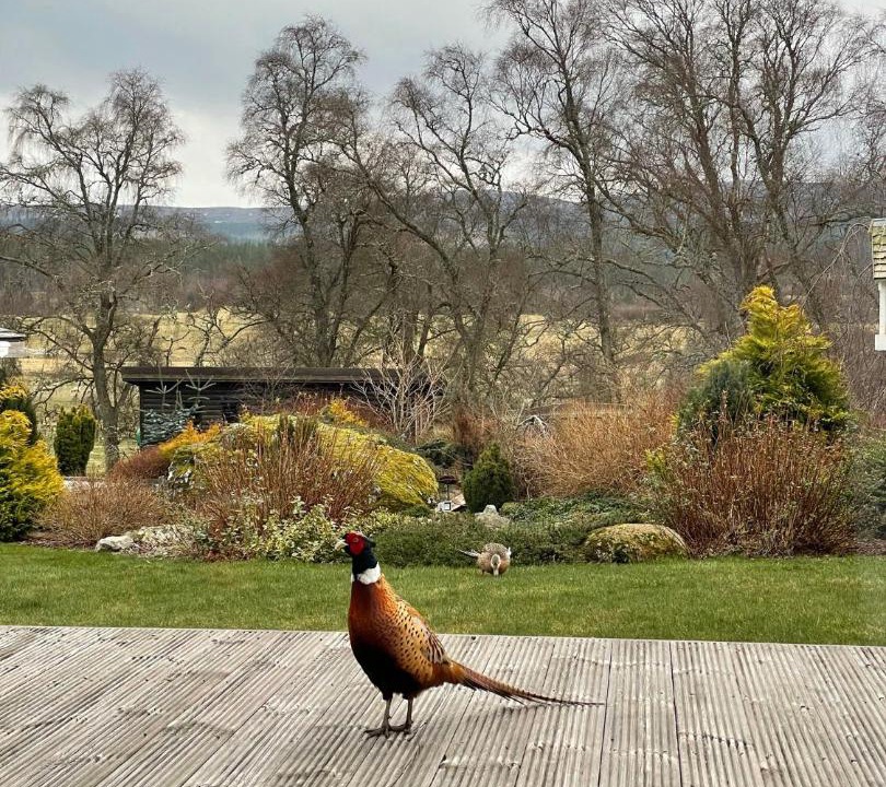 Photo of Others in Farr