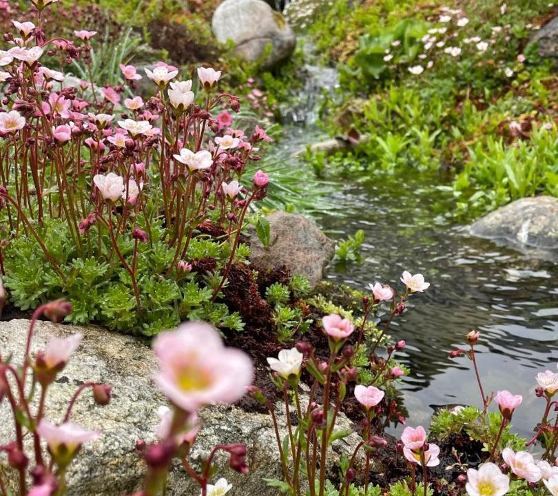 Photo of Others in Farr