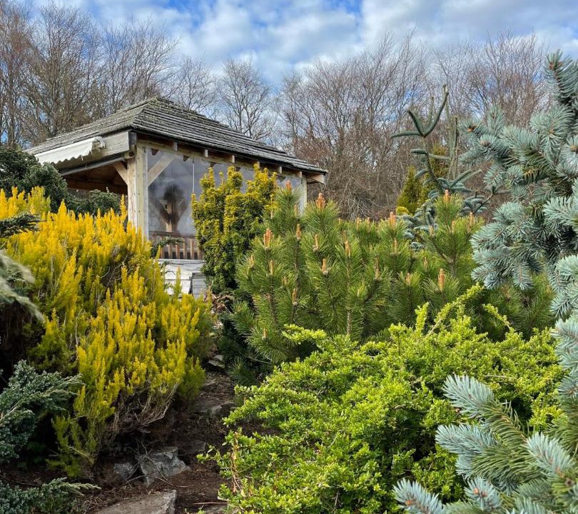 Photo of Others in Farr