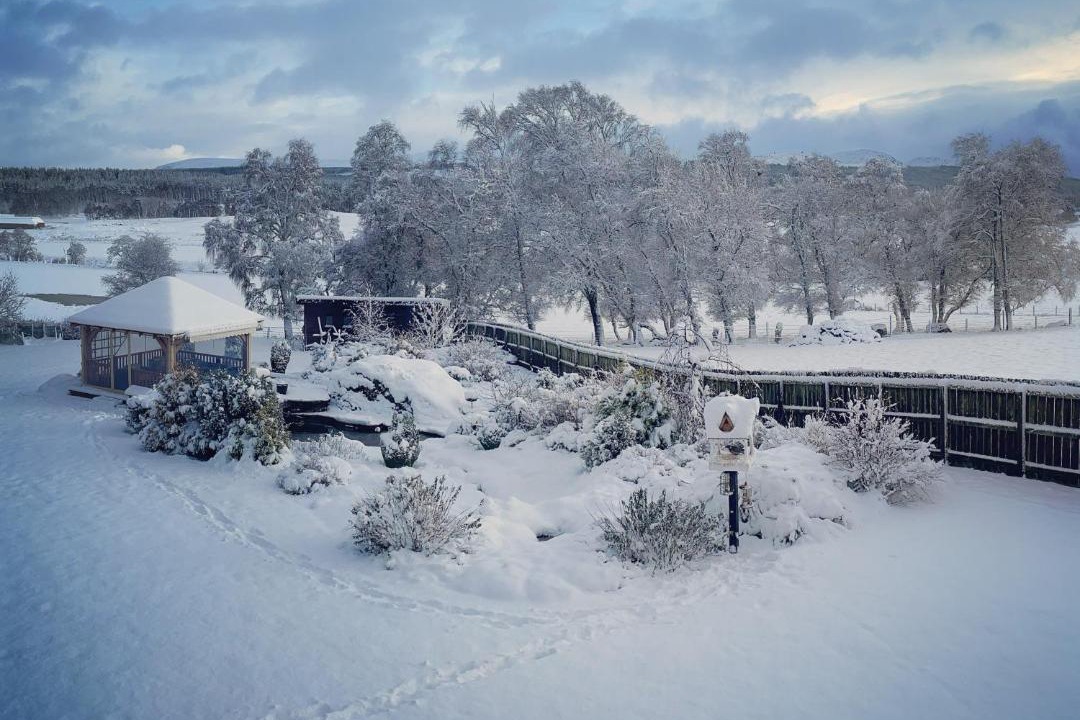 Photo of Others in Farr