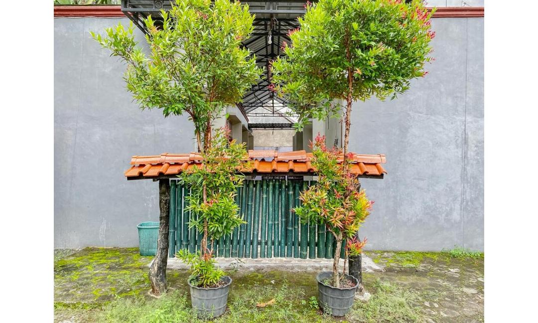 Photo of Others in Rogojampi