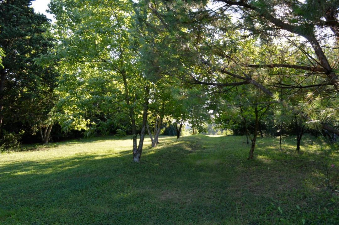 Photo of Others in Pinel-Hauterive