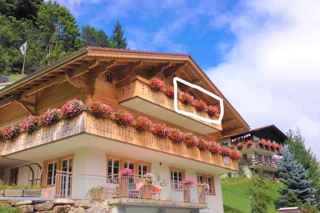 Photo of Others in Adelboden