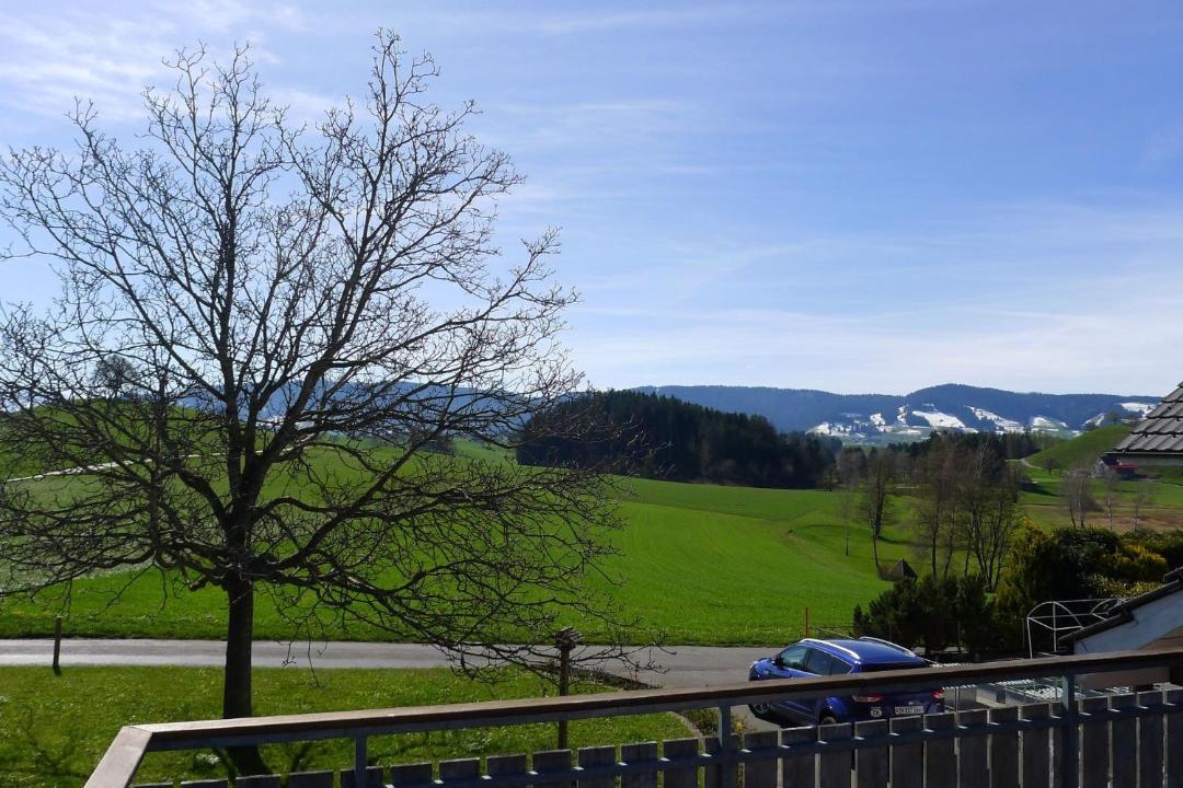 Photo of Others in Horgen District