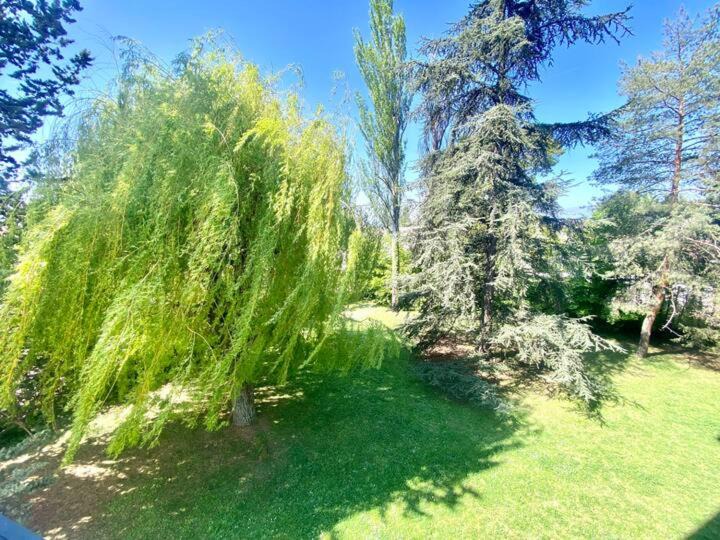 Photo of Others in Annemasse