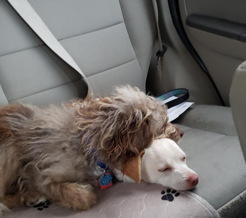 Photo of Bedroom in Warren