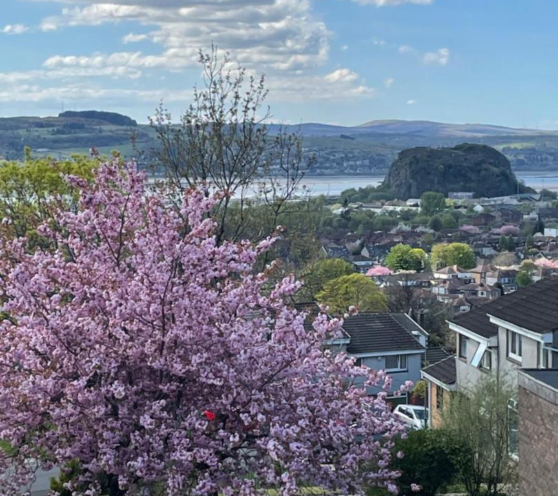 Photo of Others in Dumbarton