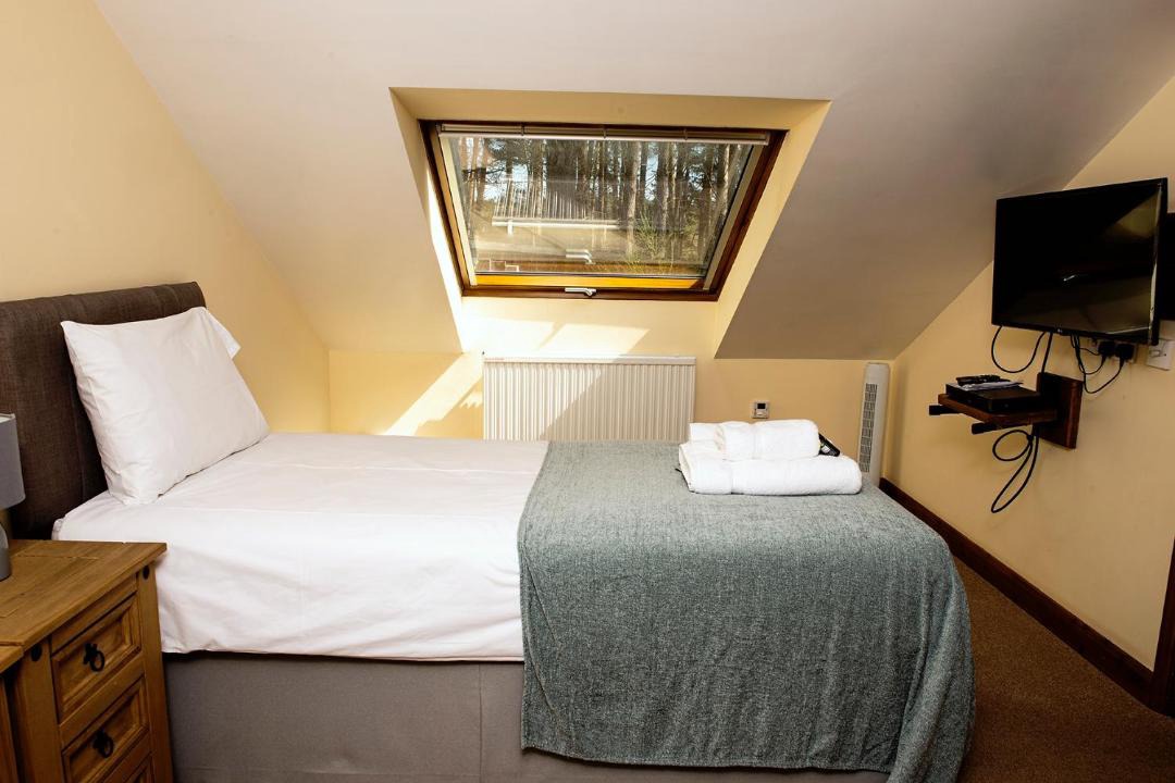 Photo of Others in Sherwood Forest