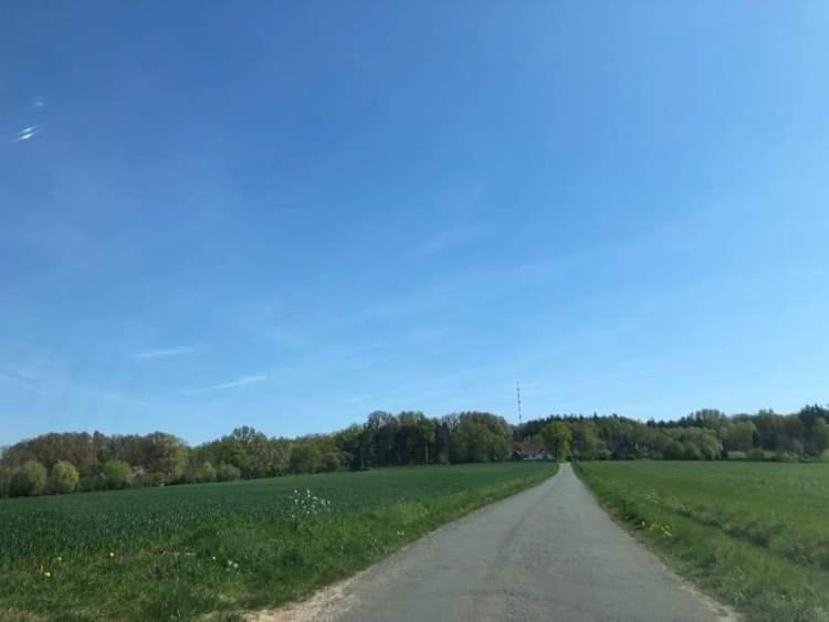 Photo of Others in Godewaersvelde