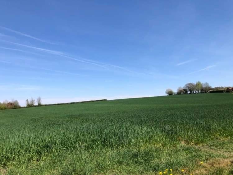 Photo of Others in Godewaersvelde