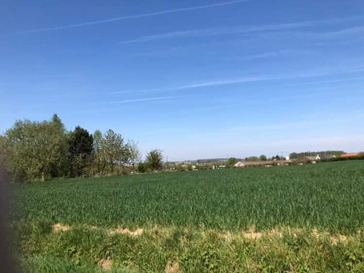 Photo of Others in Godewaersvelde