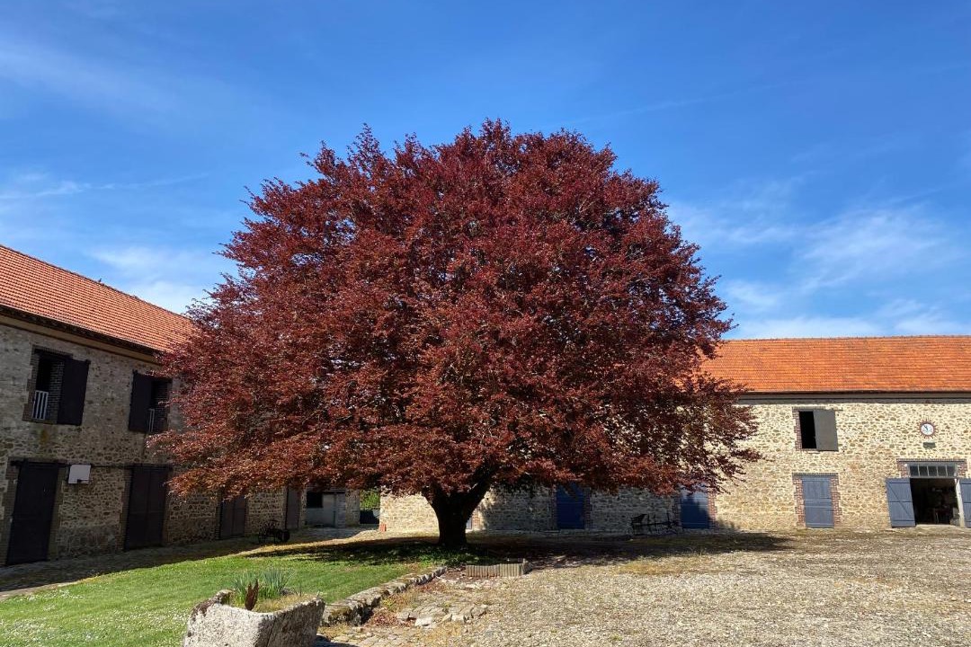 Photo of Buildings in Ocquerre