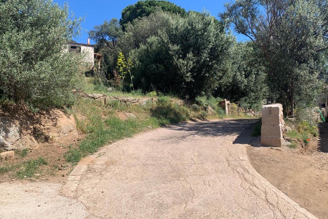 Photo of Others in Figari