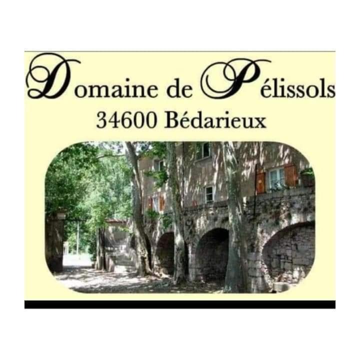 Photo of Others in Bedarieux