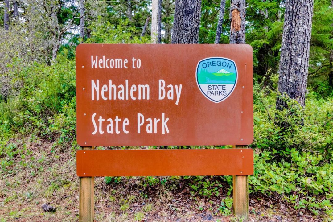 Photo of Others in Nehalem