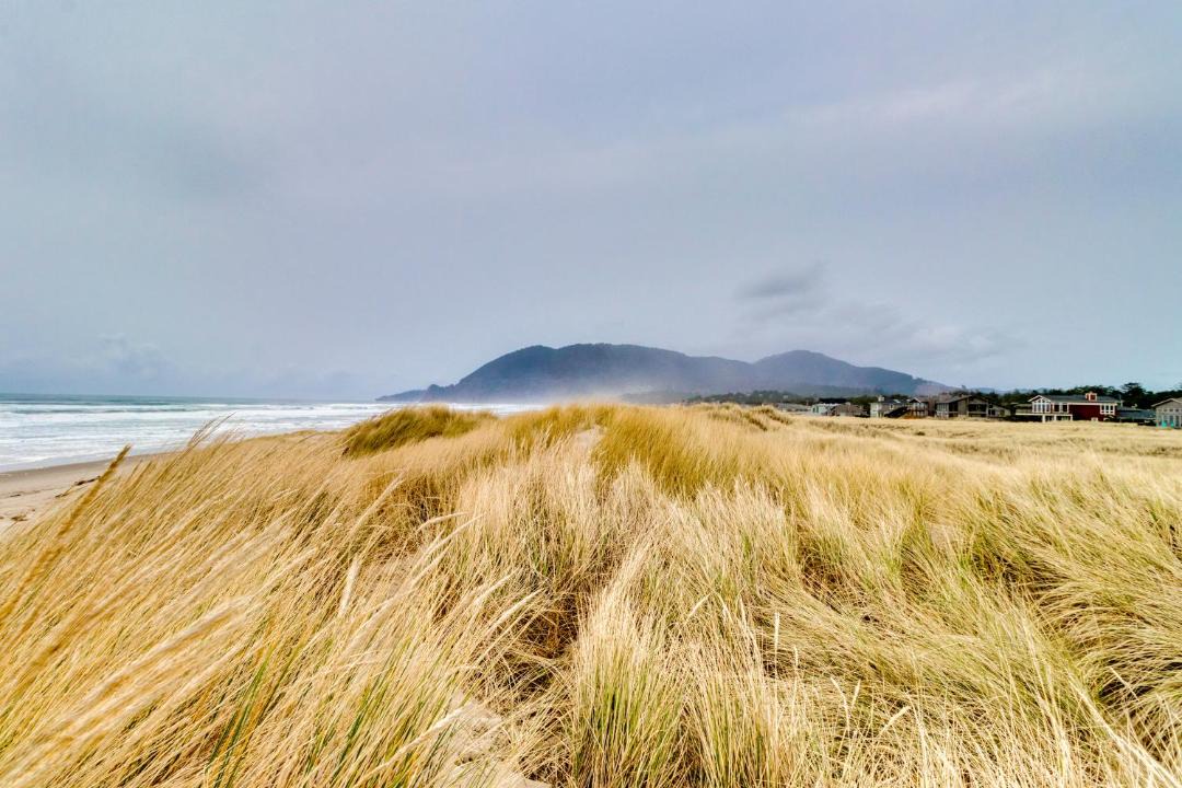 Photo of Others in Nehalem