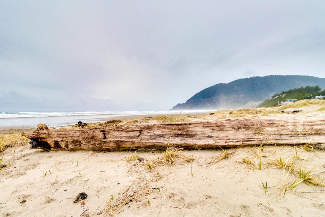 Photo of Others in Nehalem