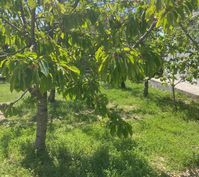 Photo of Outdoor in Rudine