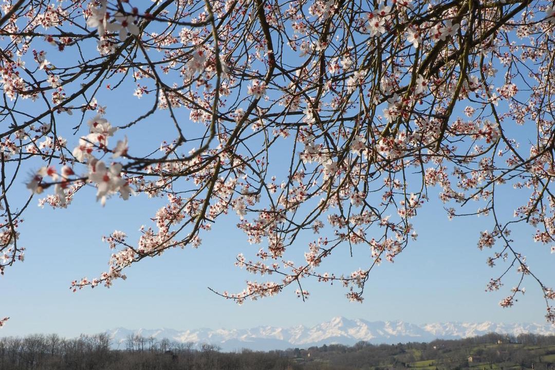 Photo of Others in Bazugues