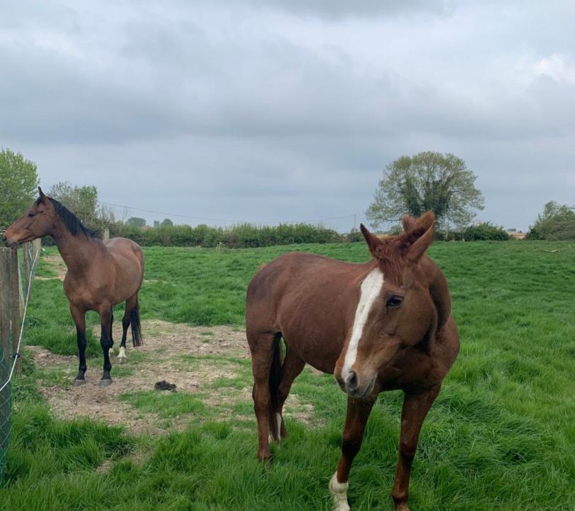 Photo of Others in Eecke