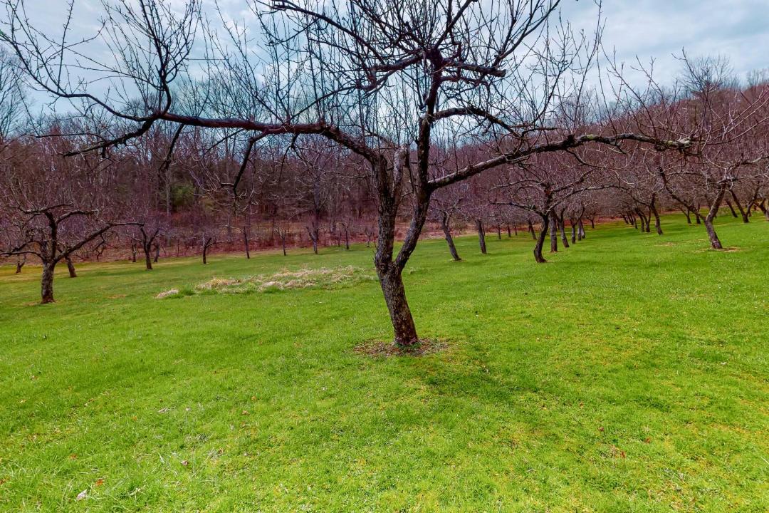 Photo of Others in Fair Haven