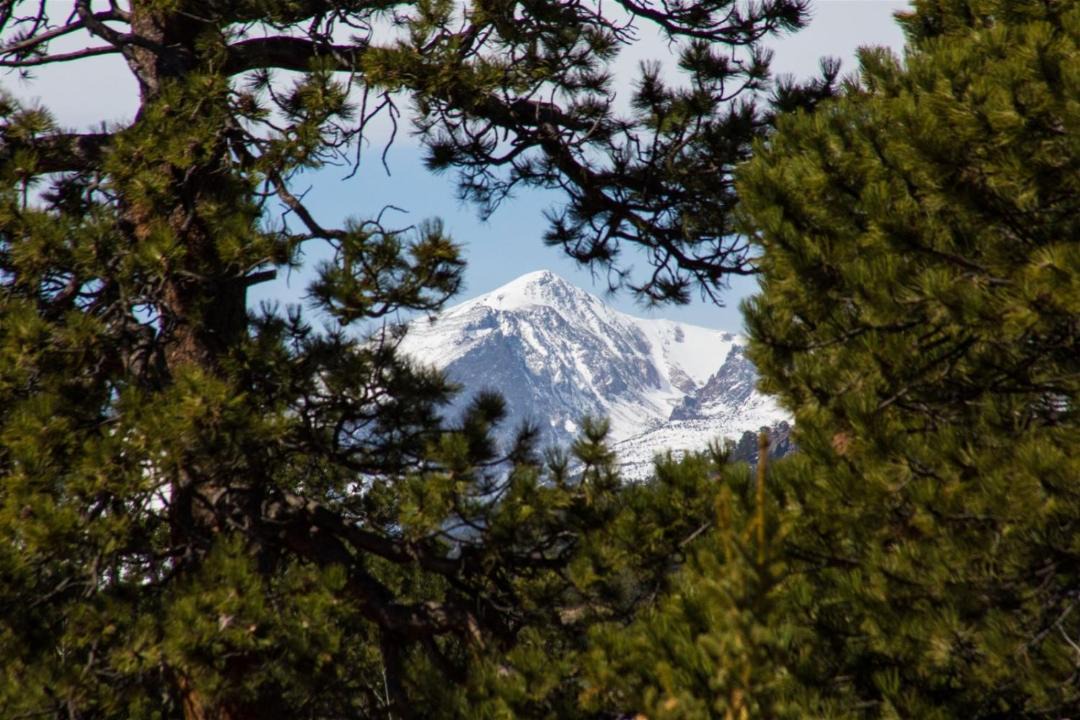 Photo of Others in Estes Park