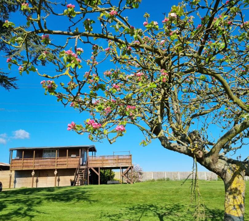 Photo of Others in Ham