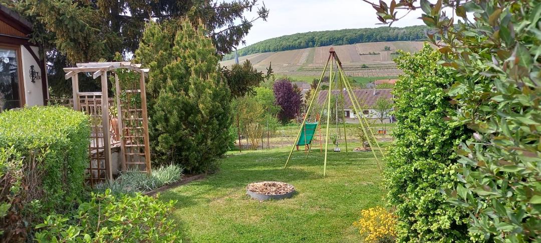 Photo of Others in Festigny