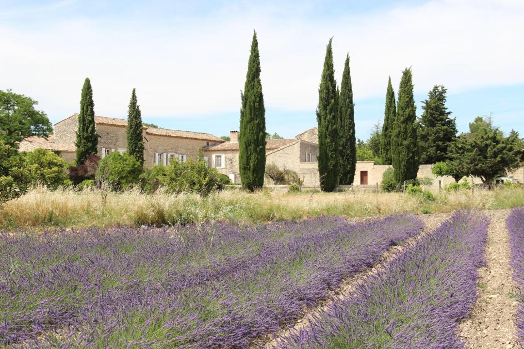 Photo of Others in Grignan