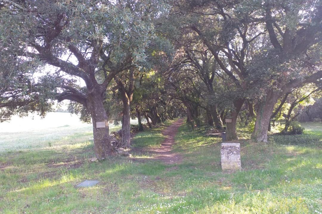 Photo of Others in Grignan